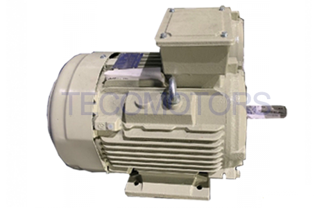 VFD Dust Explosion Proof Motor